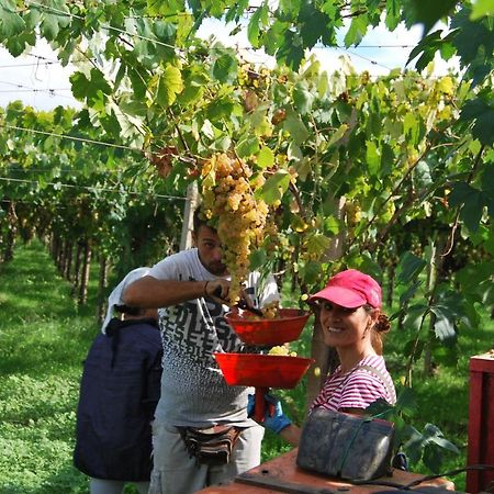 Agriturismo Torre Cristina Aprilia Dış mekan fotoğraf