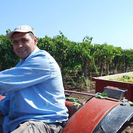 Agriturismo Torre Cristina Aprilia Dış mekan fotoğraf