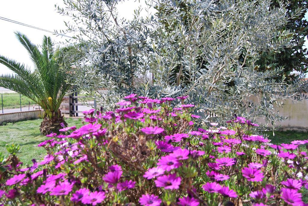 Agriturismo Torre Cristina Aprilia Dış mekan fotoğraf
