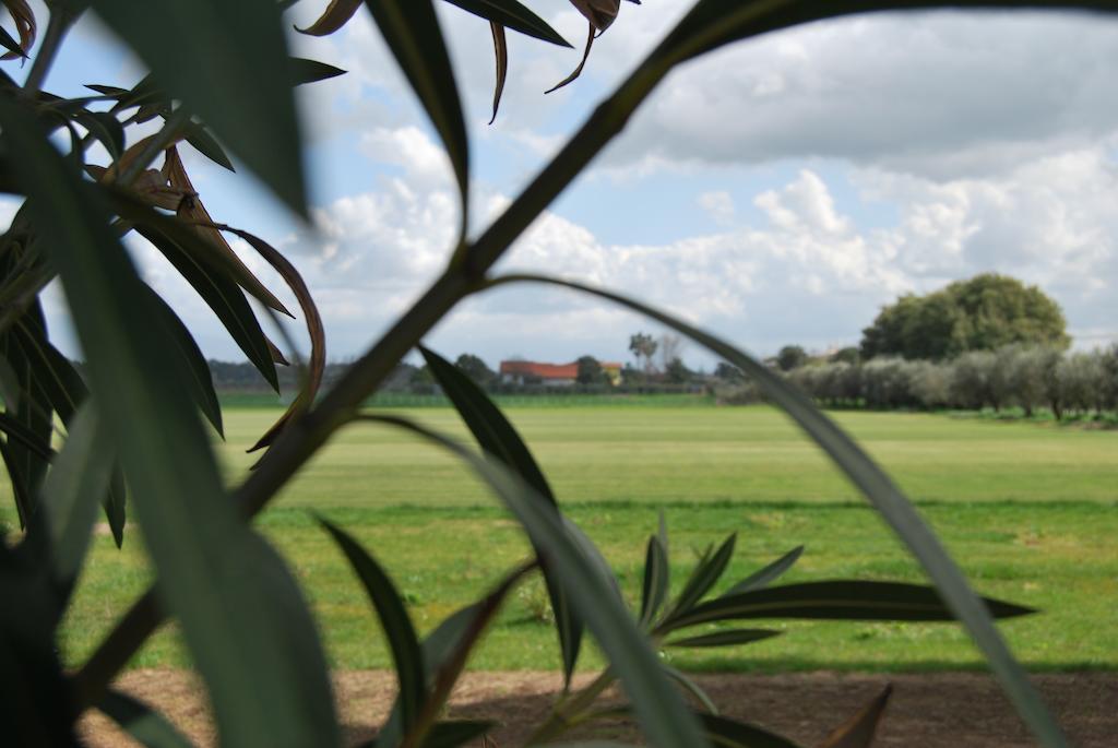 Agriturismo Torre Cristina Aprilia Dış mekan fotoğraf
