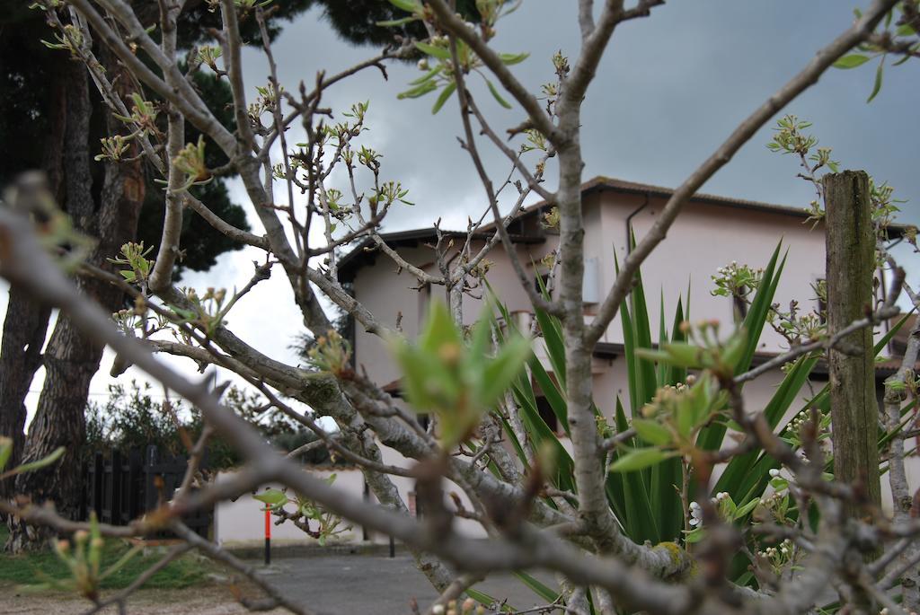 Agriturismo Torre Cristina Aprilia Dış mekan fotoğraf