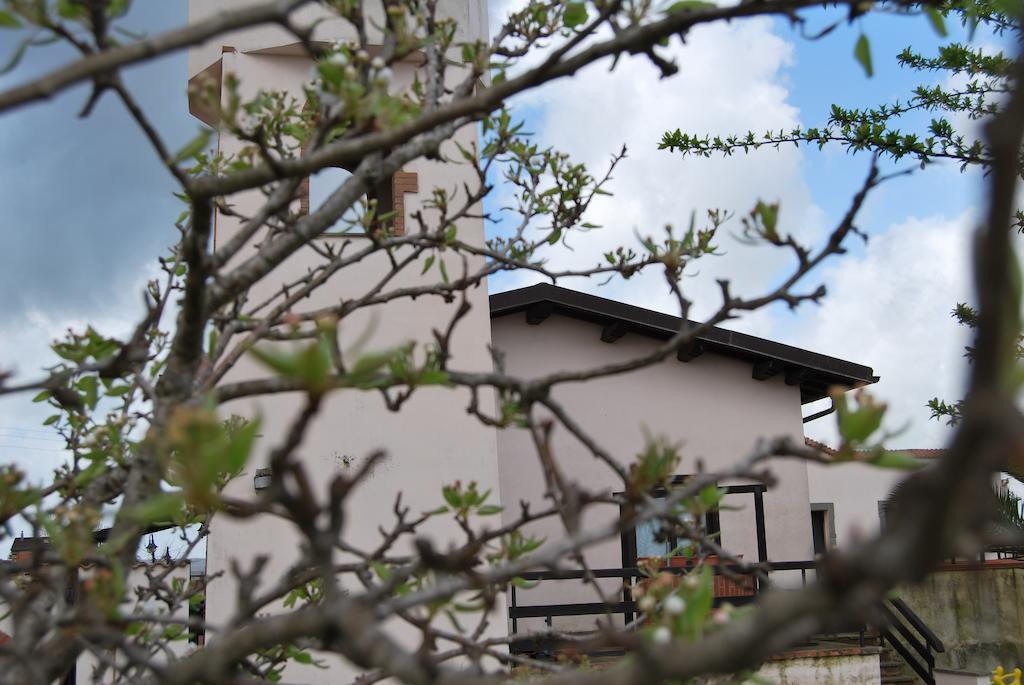 Agriturismo Torre Cristina Aprilia Dış mekan fotoğraf