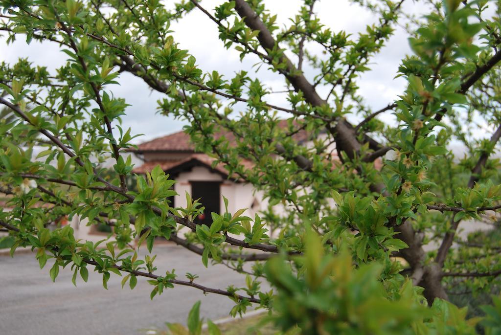Agriturismo Torre Cristina Aprilia Dış mekan fotoğraf