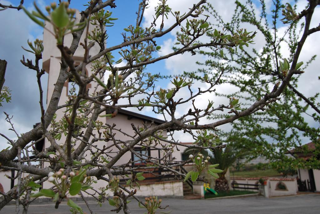 Agriturismo Torre Cristina Aprilia Dış mekan fotoğraf