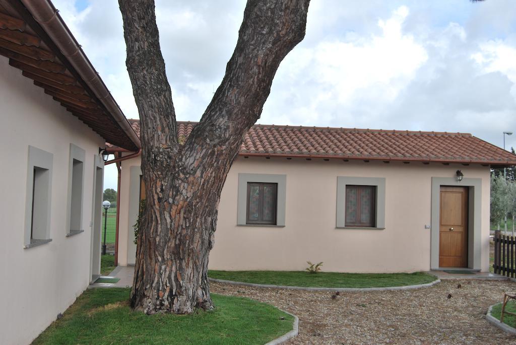 Agriturismo Torre Cristina Aprilia Dış mekan fotoğraf