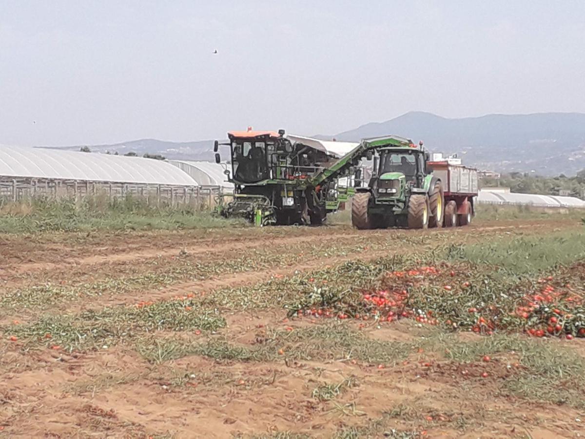 Agriturismo Torre Cristina Aprilia Dış mekan fotoğraf