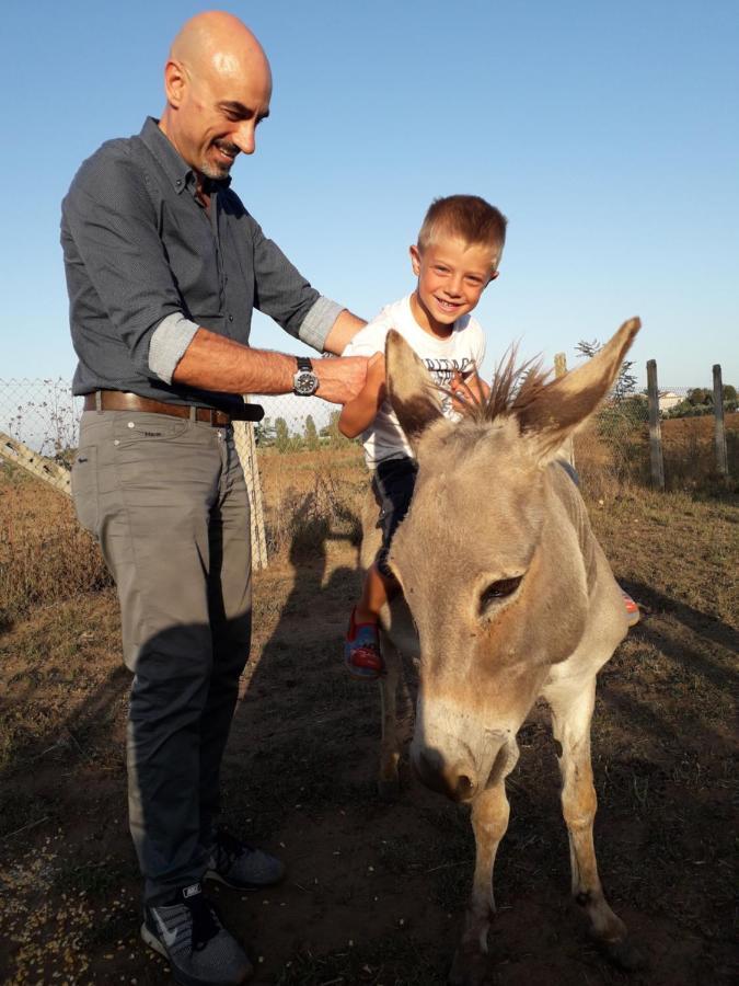Agriturismo Torre Cristina Aprilia Dış mekan fotoğraf