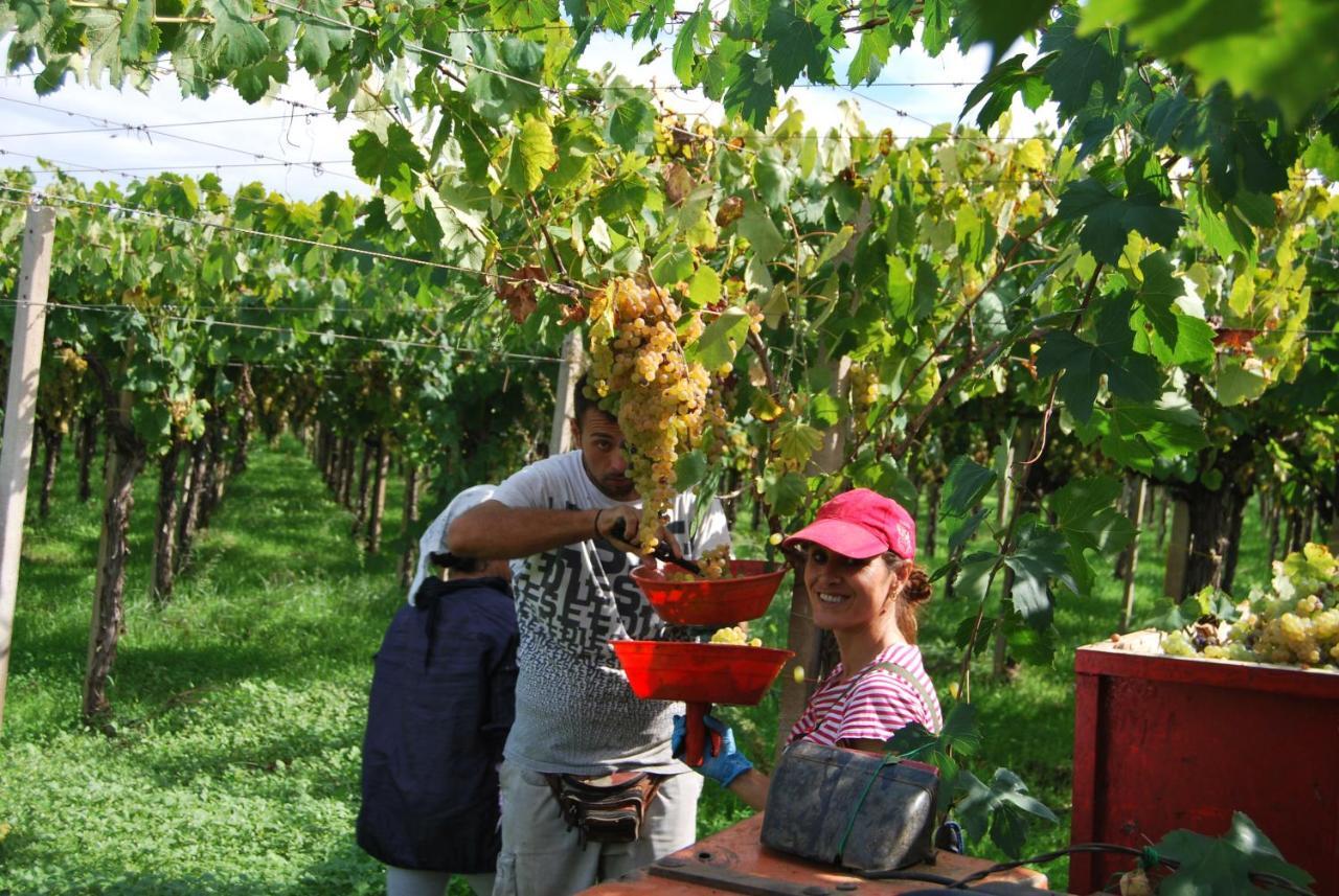 Agriturismo Torre Cristina Aprilia Dış mekan fotoğraf