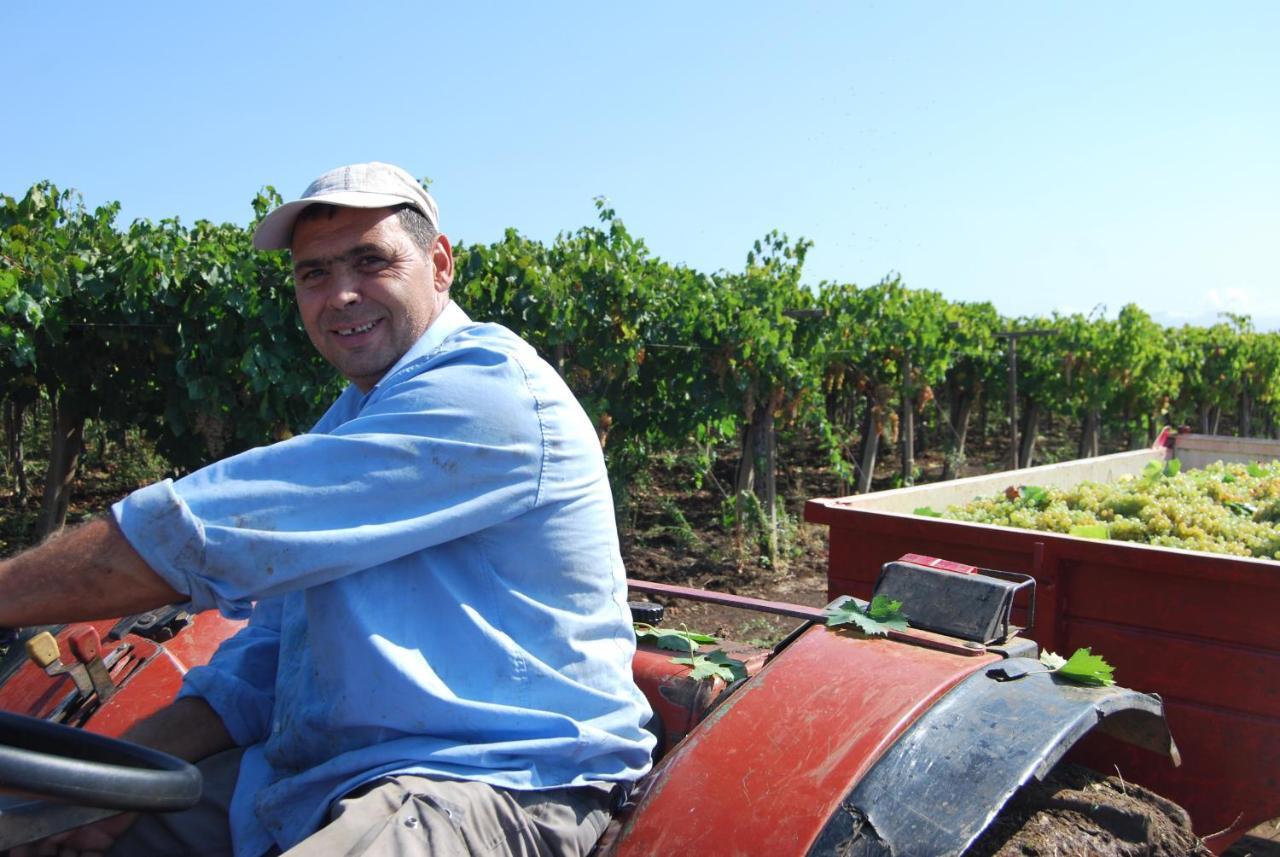 Agriturismo Torre Cristina Aprilia Dış mekan fotoğraf