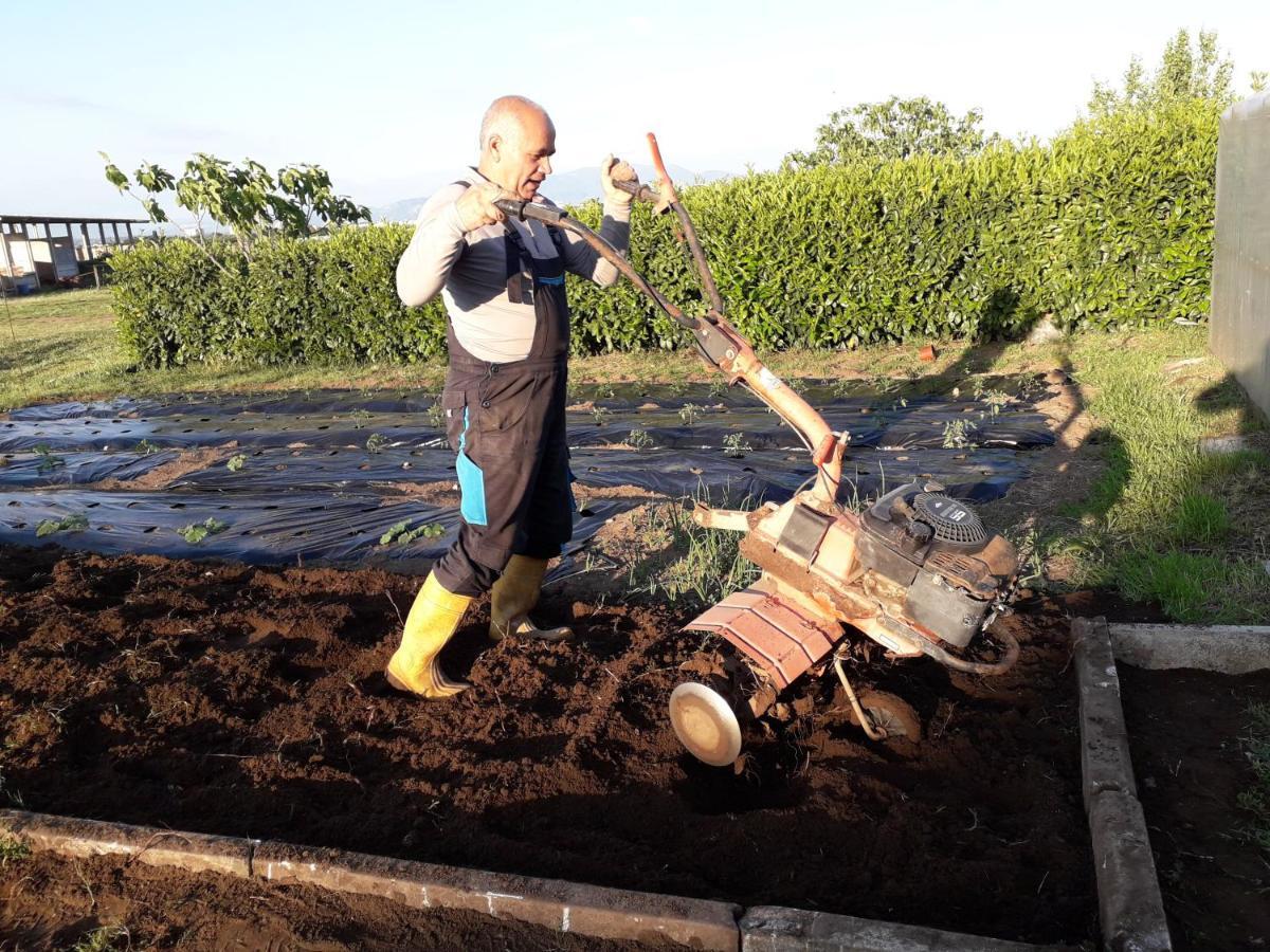 Agriturismo Torre Cristina Aprilia Dış mekan fotoğraf