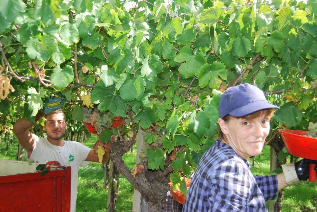 Agriturismo Torre Cristina Aprilia Dış mekan fotoğraf