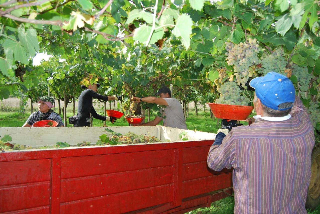 Agriturismo Torre Cristina Aprilia Dış mekan fotoğraf