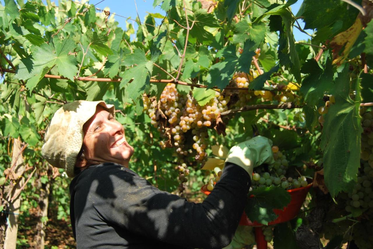 Agriturismo Torre Cristina Aprilia Dış mekan fotoğraf